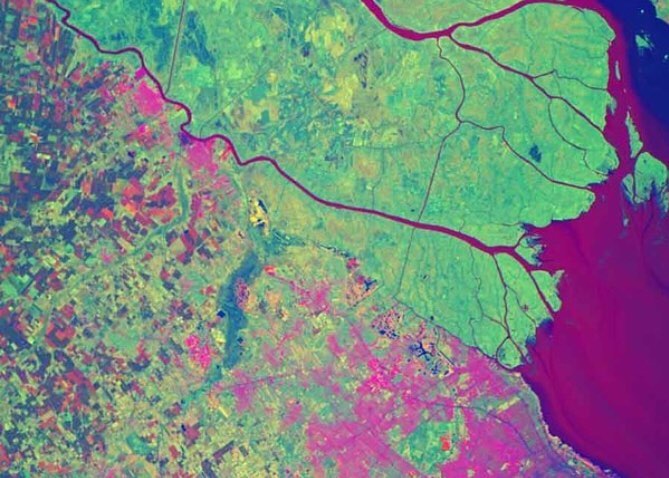 Pixxel Medio Ambiente